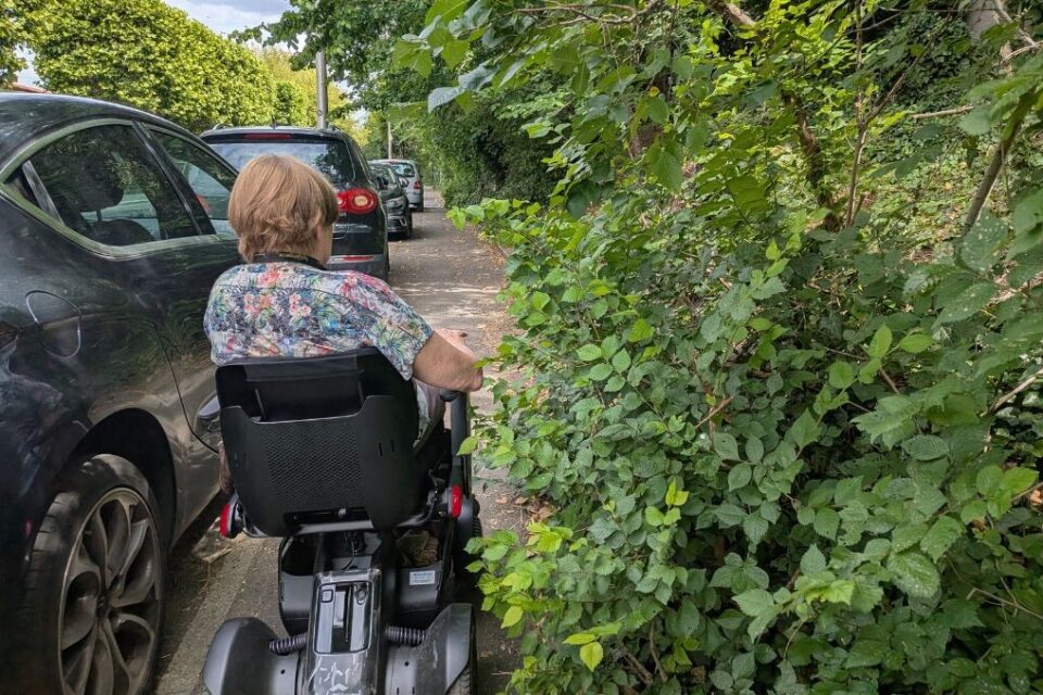 Pour faire ses commissions, Renata doit affronter un espace urbain hostile entre trou dans le bitume et ronces mal taillées.